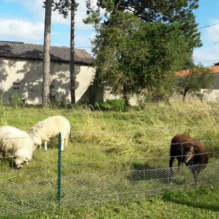 1 La Vigne Est Belle - 3 étoiles *