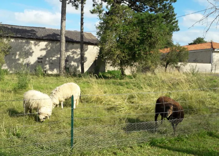 1 La Vigne Est Belle - 3 Etoiles *